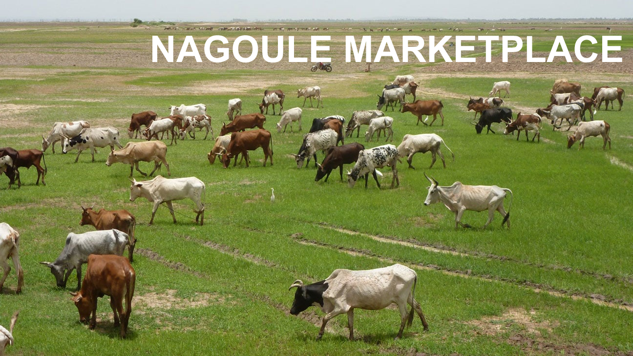 NAGOULÉ MARKETPLACE promo